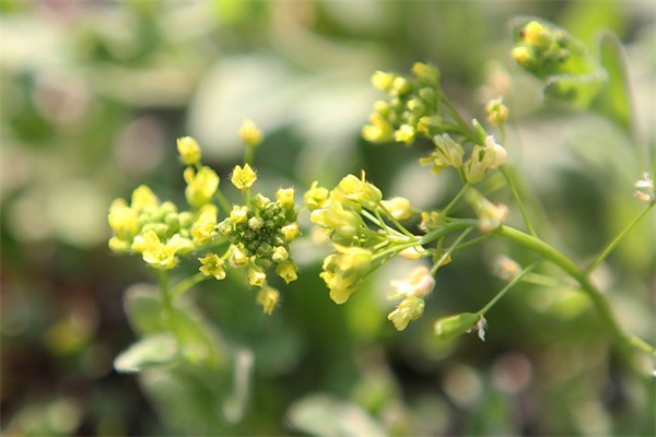 酒吧营销广告语 酒吧营销名片广告语(精选34句)