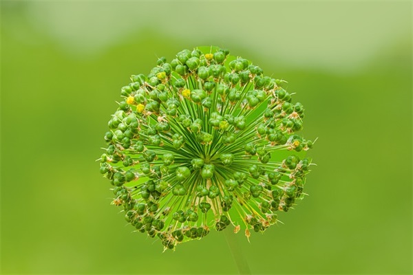 商业库存会计职责(精选2篇)