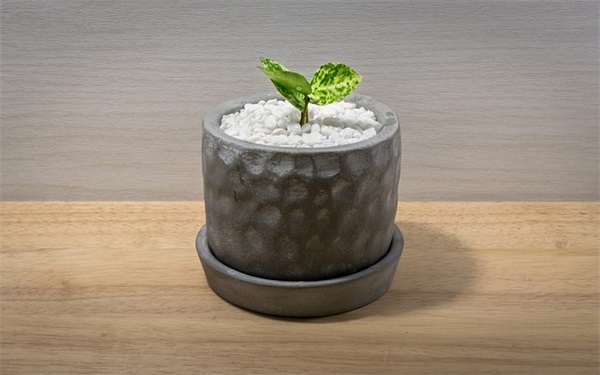 教师一句话经典座右铭 英语教师经典座右铭一句话