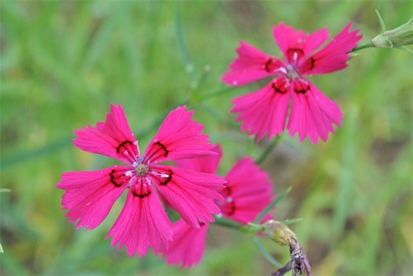 送给不懂尊重人的狠话(精选13句)