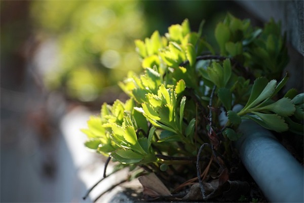 销售公司员工离职证明模板(精选3篇)