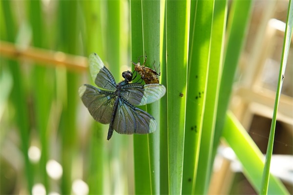 推广办理信用卡的广告词 办理信用卡推广平台