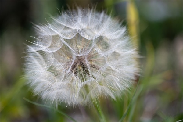 酒店客房部员工岗位职责(精选2篇)