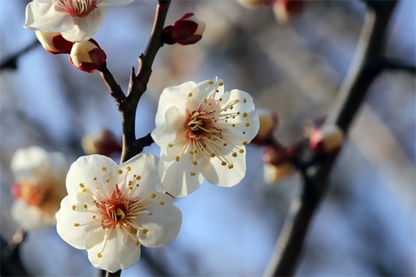 晚安撩人的情话简短 晚安最撩人的情话(精选21句)