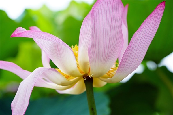 再也不爱了的文案 突然不爱了失望了的文案