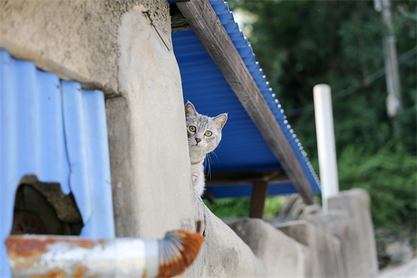 彩色的梦仿照第2小节(精选8篇)