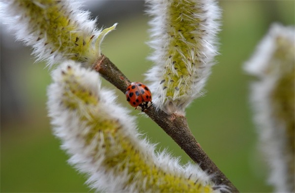 复古文案 法式复古文案(精选17句)