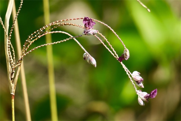 老公昵称大全 老公昵称大全洋气英文(精选67个)