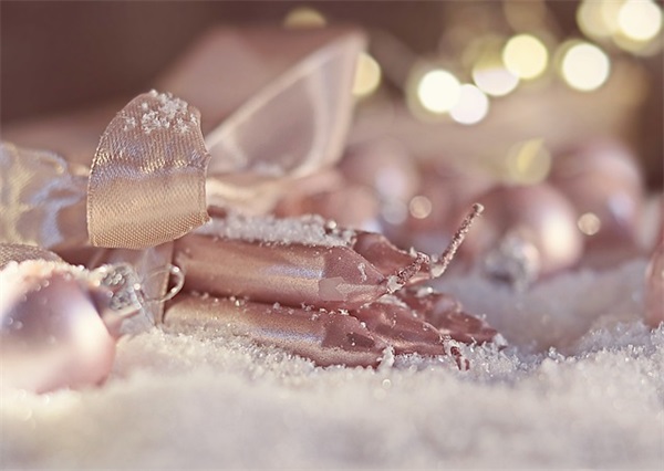 单位介绍信2024模板(精选4篇)