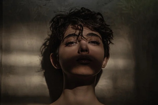 奇妙的植物(精选3篇)