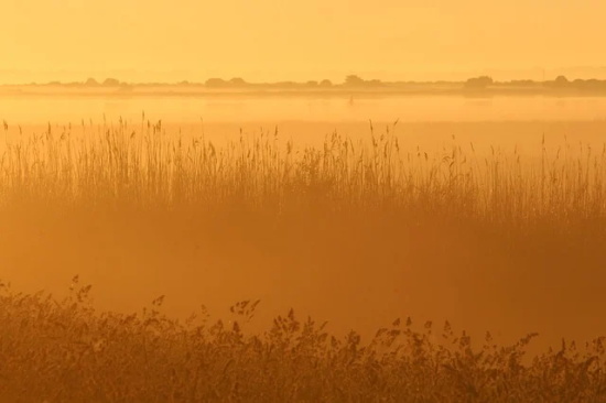 qq自动回复内容(精选18句)
