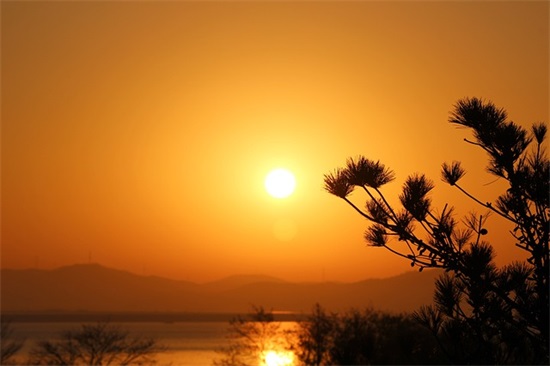 写一段门窗的宣传语 门窗广告语宣传语(精选33句)