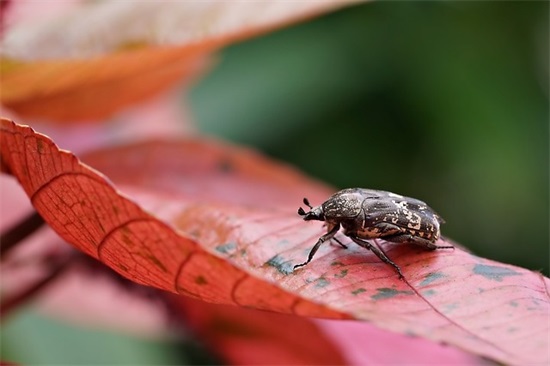 6字短句高冷霸气十足 8字短句高冷霸气十足女生