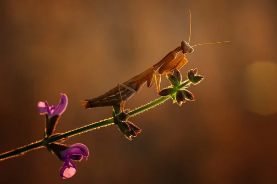 节目主持人开场白台词(精选19句)