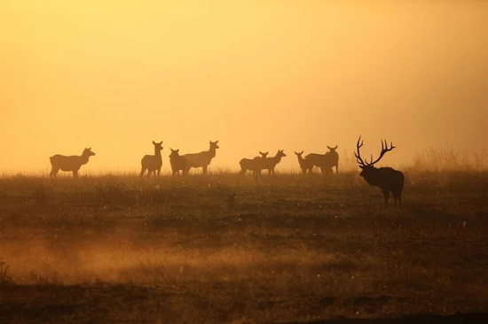 雅思基础作文题汇总英文版