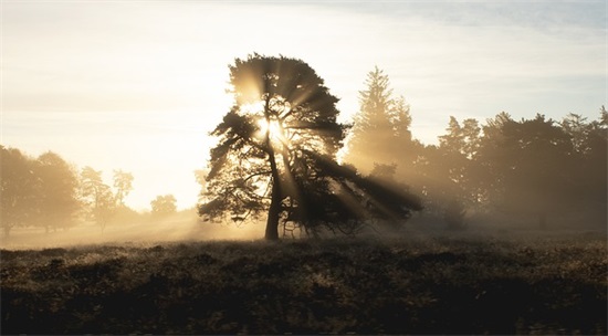 关于帽子的经典广告词大全 餐饮广告词大全经典简短
