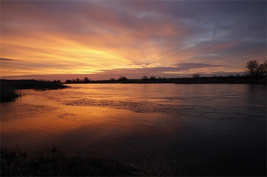 阅读节口号与宣言 阅读节口号征集令(精选11句)