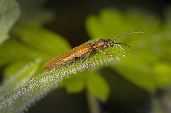 中秋节的古诗100首 中秋节的古诗鉴赏(精选24句)