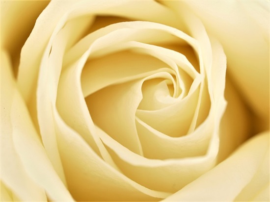 小壁虎借尾巴仿写一段话(精选2篇)