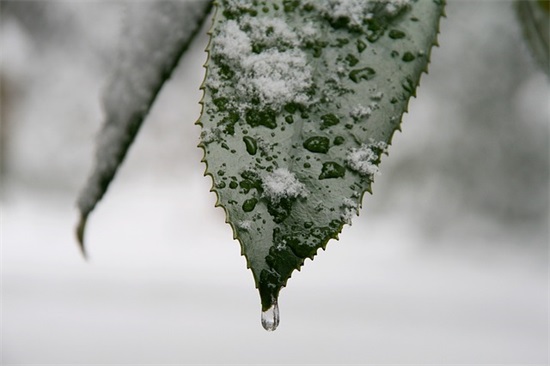 送给自己的人生格言8字 送给自己的人生格言8字格言教育