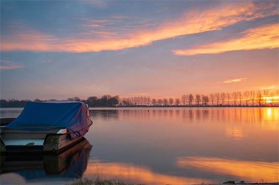 一年级入队申请家长寄语短句集锦(精选12句)