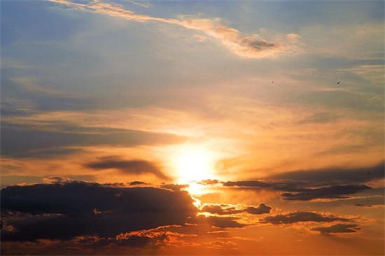 生活中有趣的谐音梗推荐(精选27句)