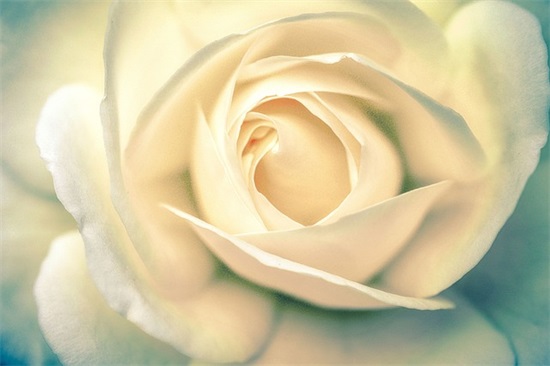 端午节时候促销广告语 端午节牛奶促销广告语