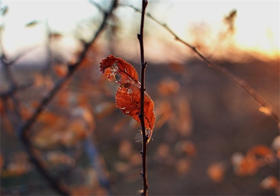 qq可爱活泼网名