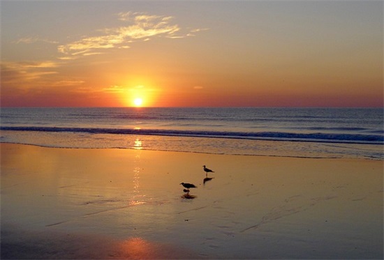 个性时尚网名大全