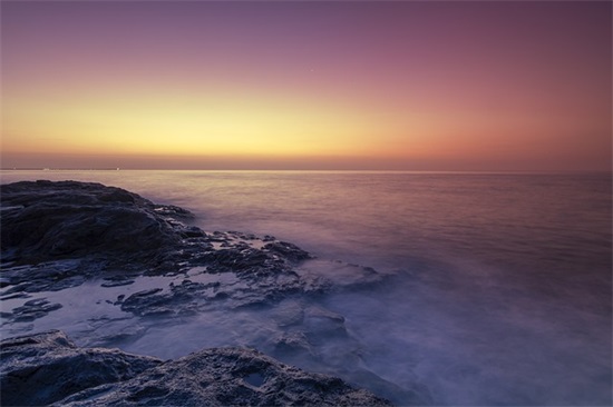 qq网名关于花的女生