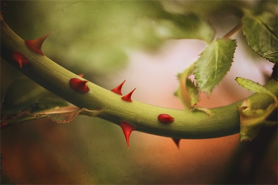 带晓字的qq女生网名