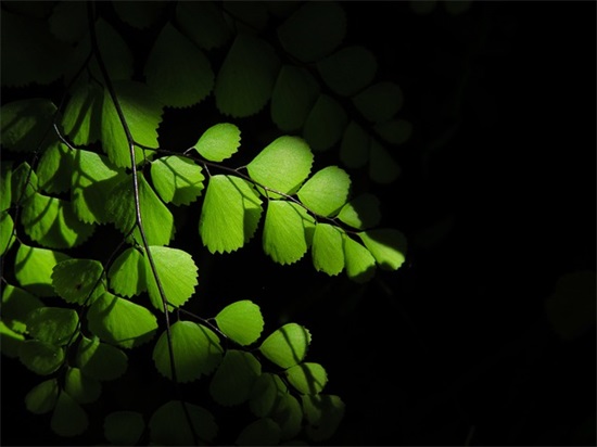 姐弟名字qq网名