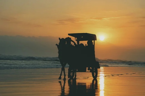 带洋qq网名女生