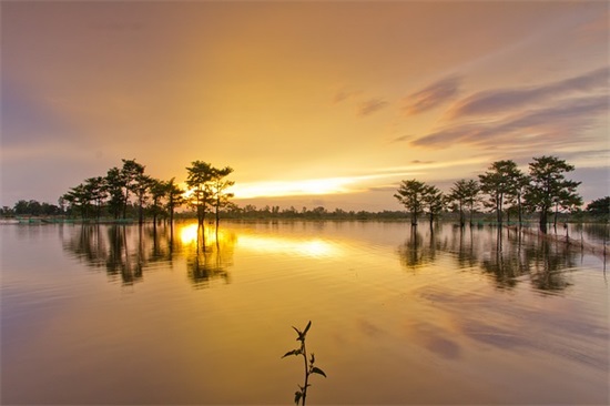 小学生女孩qq网名