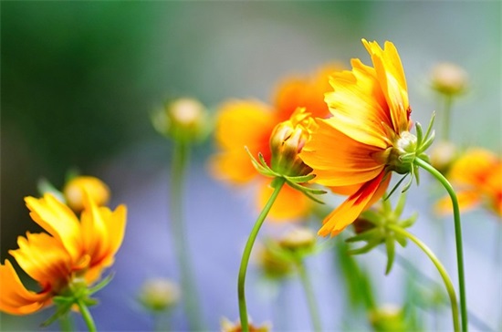 韩文超拽个性网名