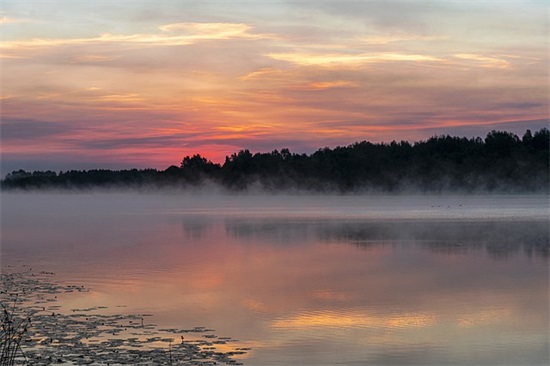 网名女生可爱微信