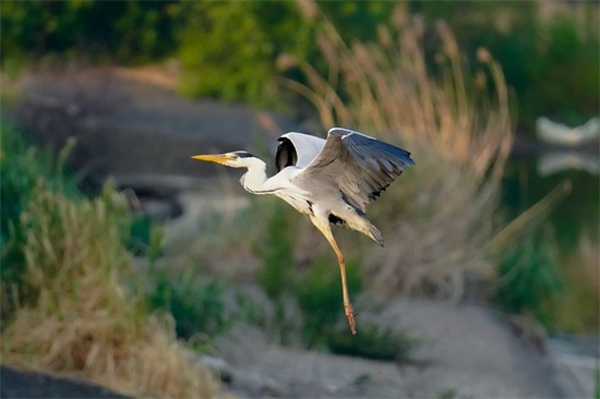 内衣时尚qq网名
