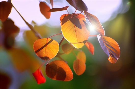 有关葬礼qq网名