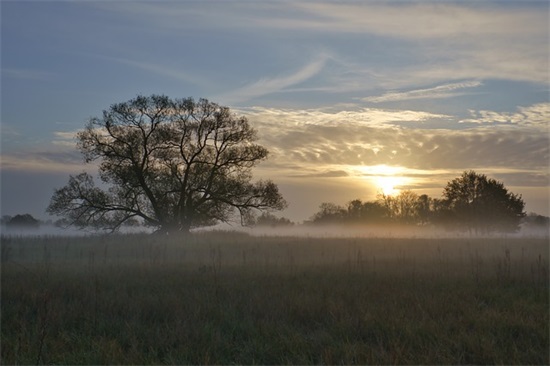 2025年最个性微信名