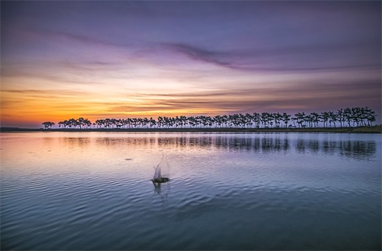 带宜字的qq网名