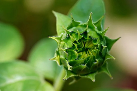 简单气质女网名