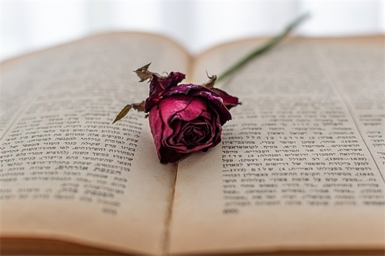 tfboysqq网名女生