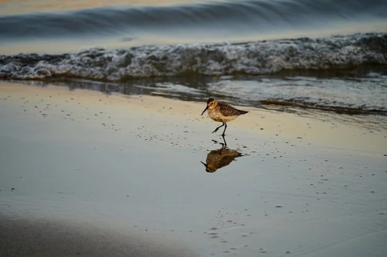 个性网网名六个字