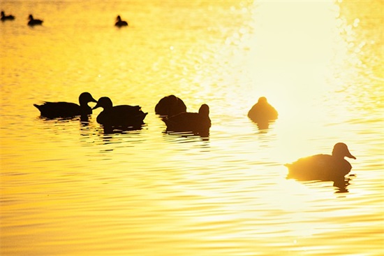 最新可爱符号网名