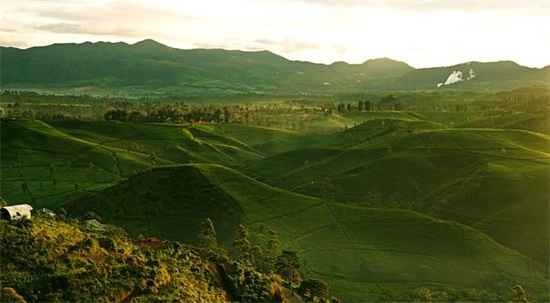 新年搞笑祝福语大全53句