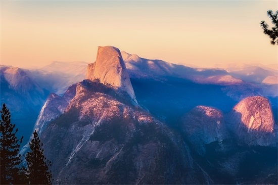 猪年的搞笑祝福语