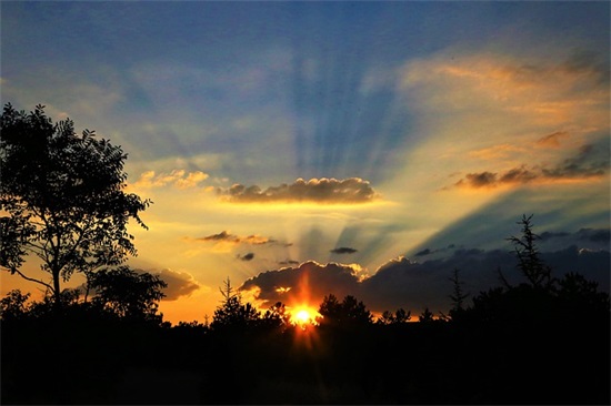 2025年春节员工祝福语54句