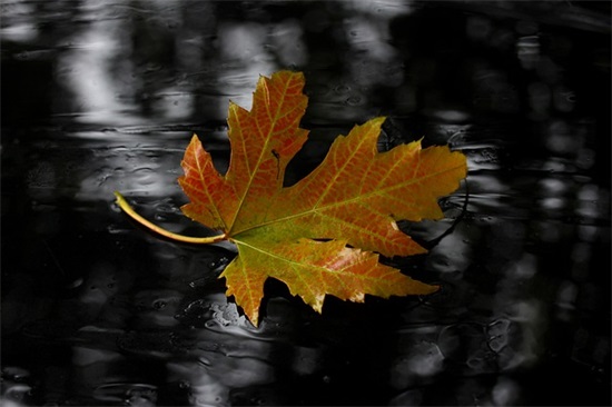 送给爷爷生日祝福语65句