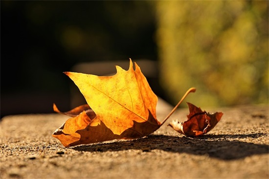 最新中秋节简短祝福语
