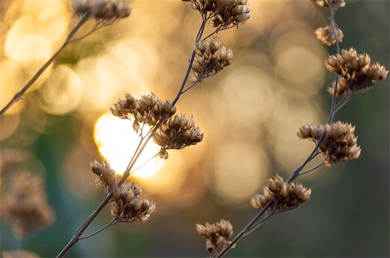4.1愚人节同学整蛊祝福短信(愚人节情侣整人短信)
